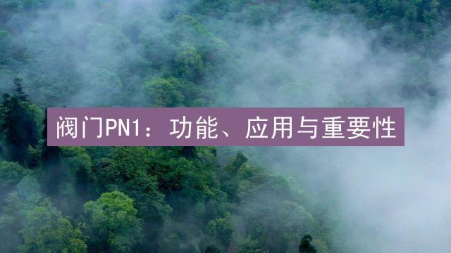 阀门PN1：功能、应用与重要性